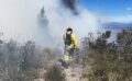 Grave emergencia ambiental en Bogotá por incendios forestales