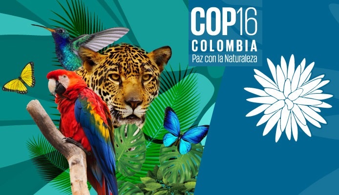COP16 en Colombia: el mundo pone la biodiversidad en el centro
